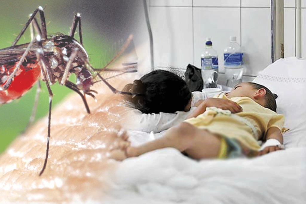 සතියක් තුළ ඩෙංගු රෝගීන් 2,142ක්