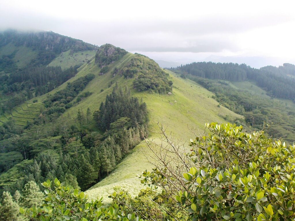 හන්තාන අධි සංවේදී පරිසර කලාපයේ ඉඩම් කැබලි කිරිම නවත්වයි