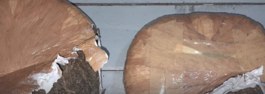 ලක්ෂ 10 ක කේරළ ගංජා සමග පුද්ගලයෙකු කොටු වෙයි