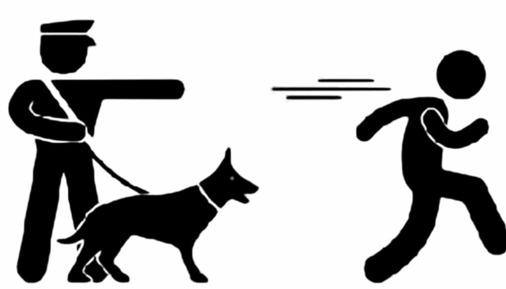 සැකකරු පොලිස් නිලධාරියා සපා පැන ගිහින්