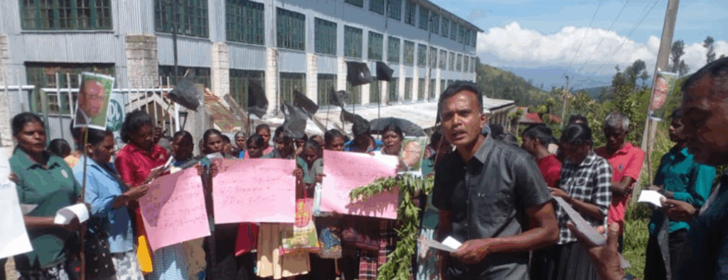 හපුතලේ තේ කම්හළක විරෝධතාවක්