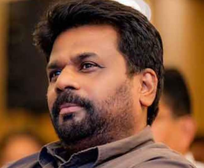 විෂ මත මඬින්න බලමුළු 23ක්