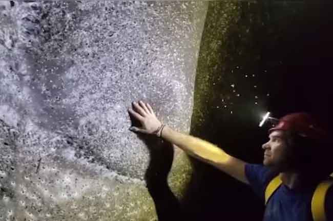 ලොව විශාලතම මකුළු දැල හමුවෙයි