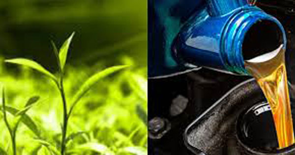 තෙල් – තේ ගිවිසුම කැඩුවාට ඉරානයට මිලියන 119ක් ගෙවයි