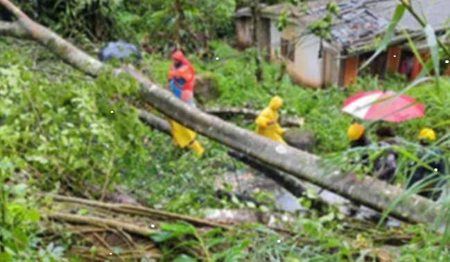 මිනුවන්ගොඩට තද සුළං