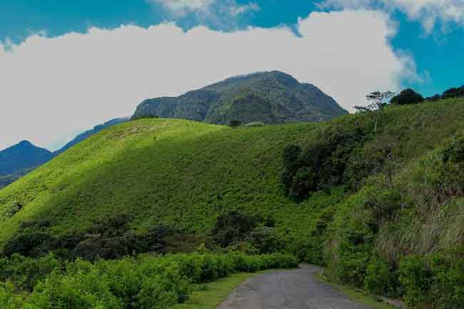 ‘දිට්වා’ නිසා වසා දැමූ රිවස්ටන් අද සිට යළි විවෘත කෙරේ